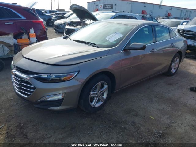 1G1ZD5ST1RF126354 Chevrolet Malibu Fwd 1lt
