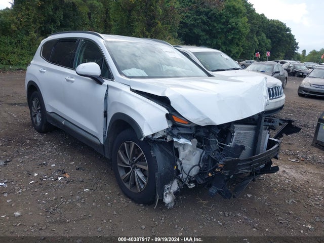 Hyundai Santa Fe Sel Plus 2019 5NMS3CADXKH048367 Image 1