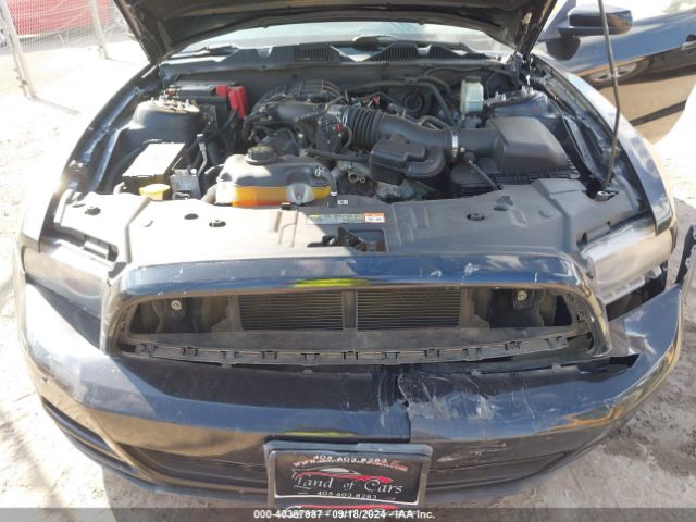 1ZVBP8AM4E5231205 Ford Mustang V6