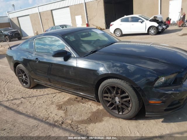 1ZVBP8AM4E5231205 Ford Mustang V6