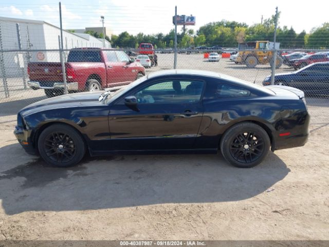 1ZVBP8AM4E5231205 Ford Mustang V6