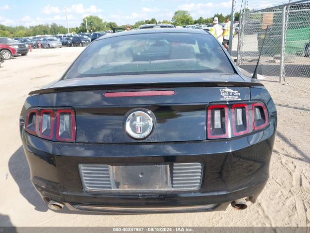 1ZVBP8AM4E5231205 Ford Mustang V6