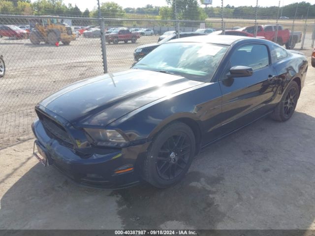 1ZVBP8AM4E5231205 Ford Mustang V6