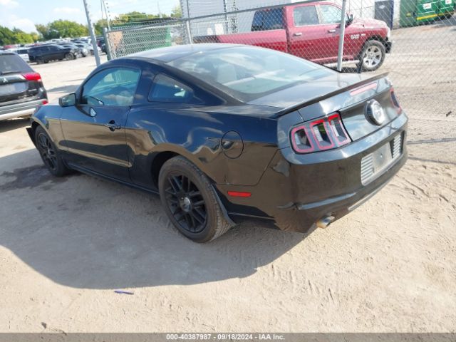 1ZVBP8AM4E5231205 Ford Mustang V6