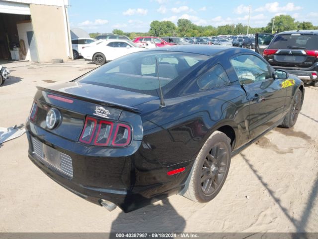 1ZVBP8AM4E5231205 Ford Mustang V6