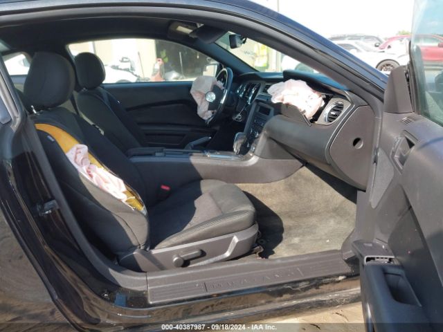 1ZVBP8AM4E5231205 Ford Mustang V6