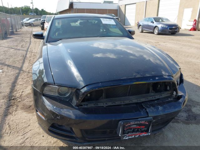 1ZVBP8AM4E5231205 Ford Mustang V6