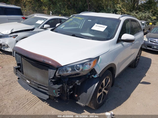 KIA Sorento 3.3l Ex 2016 5XYPHDA52GG104860 Image 2