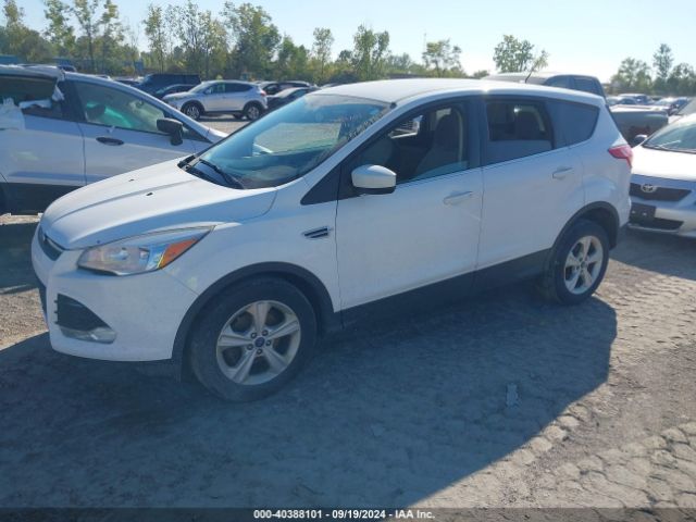 1FMCU0GX0EUB73288 Ford ESCAPE SE