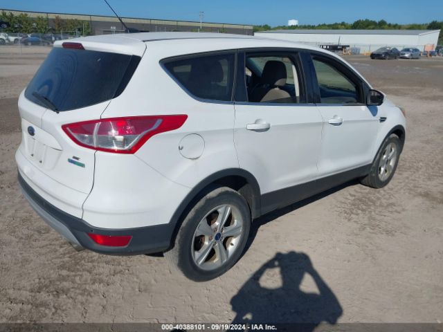 1FMCU0GX0EUB73288 Ford ESCAPE SE