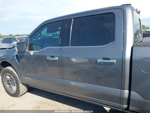 1FTFW1ED2MFC87466 Ford F-150 Platinum