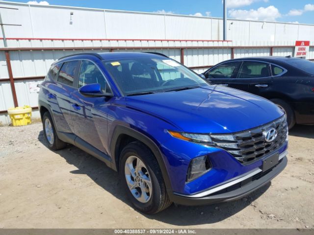 2024 5NMJBCDE1RH360106 главное изображение