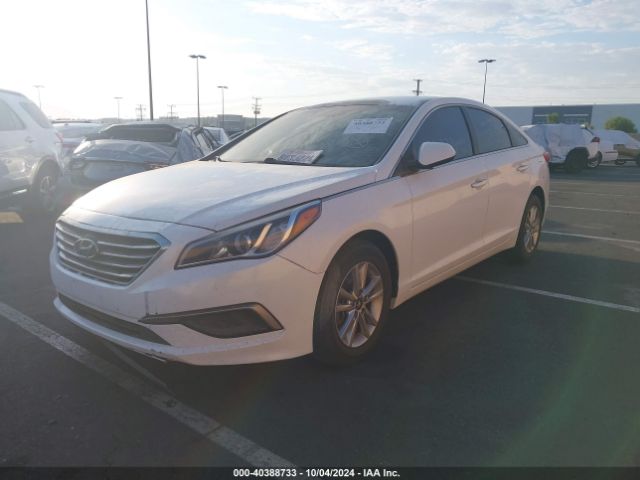 5NPE24AF5GH403317 Hyundai SONATA SE