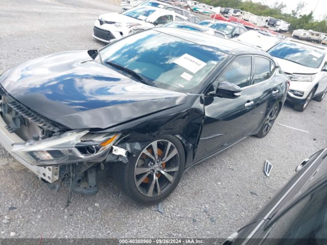 1N4AA6APXGC443450 Nissan Maxima 3.5 Sv