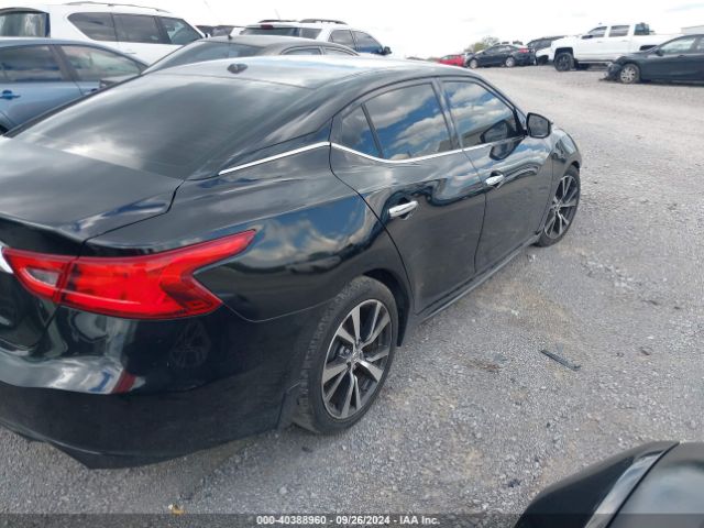 1N4AA6APXGC443450 Nissan Maxima 3.5 Sv
