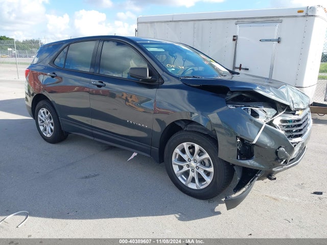 Chevrolet EQUINOX LS 2019 3GNAXHEV4KS636507 Image 1