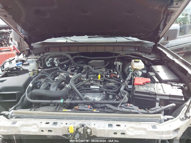 Ford Bronco Black Diamond 2024 1FMDE1BH8RLA09242 Image 10