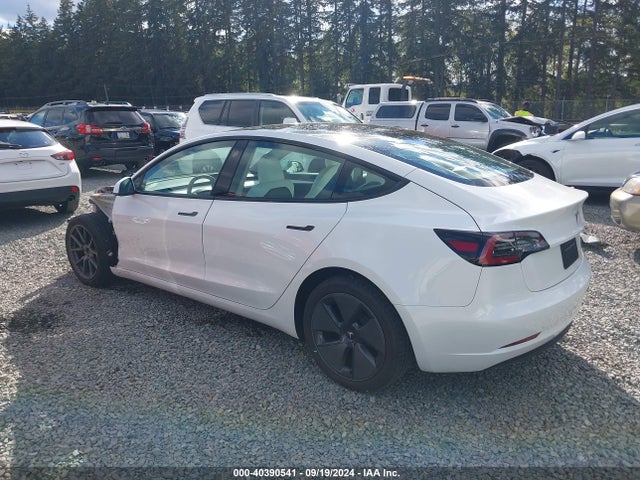 2023 TESLA MODEL 3 5YJ3E1EA6PF566665 Photo 2