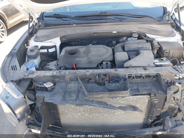 Hyundai Santa Fe Sel 2020 5NMS3CAD0LH222352 Image 10