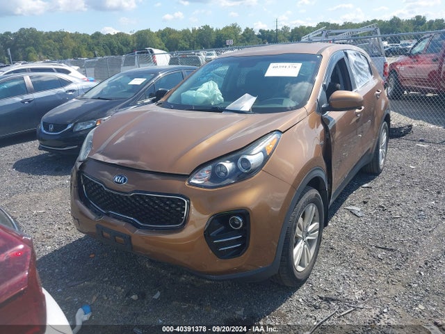 KIA Sportage Lx 2019 KNDPMCAC3K7588516 Image 12