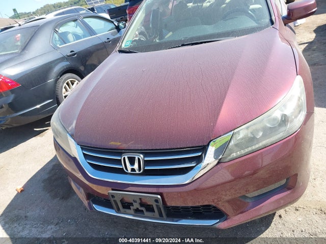 Honda ACCORD EX 2014 1HGCR2F78EA073624 Image 13