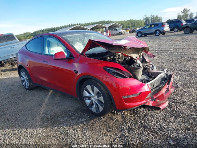 2021 TESLA MODEL Y 5YJYGDEEXMF092025 Photo 0