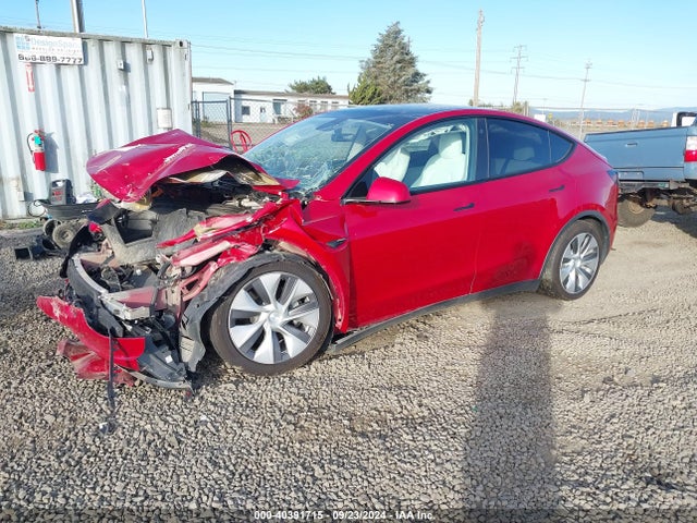 2021 TESLA MODEL Y 5YJYGDEEXMF092025 Photo 1