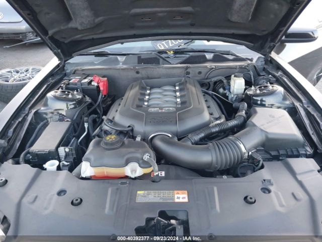 1ZVBP8CFXE5247679 Ford MUSTANG GT