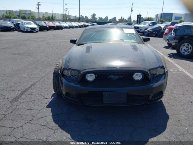 1ZVBP8CFXE5247679 Ford MUSTANG GT