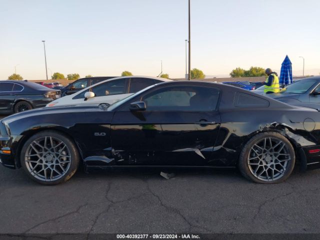 1ZVBP8CFXE5247679 Ford MUSTANG GT