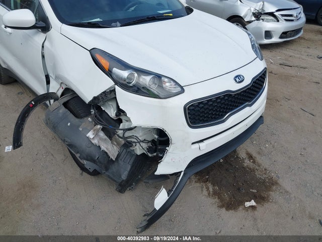 KNDPM3AC7K7501443 KIA Sportage Lx