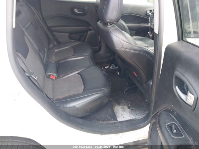 3C4NJDDB1KT651679 Jeep Compass Trailhawk 4x4