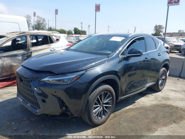 JTJAGCEZ3N2002228 Lexus NX 350