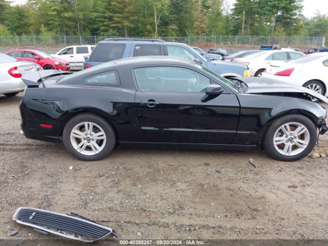 1ZVBP8AM6E5286688 Ford Mustang V6