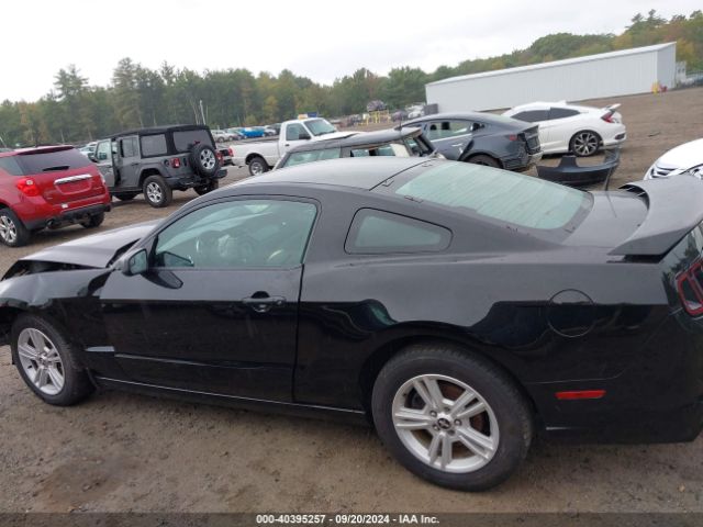 1ZVBP8AM6E5286688 Ford Mustang V6