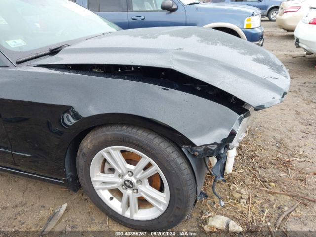 1ZVBP8AM6E5286688 Ford Mustang V6