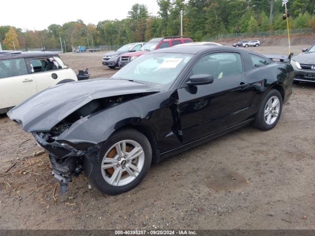 1ZVBP8AM6E5286688 Ford Mustang V6
