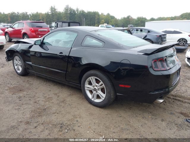 1ZVBP8AM6E5286688 Ford Mustang V6