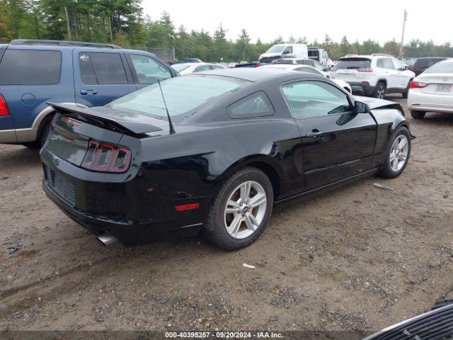 1ZVBP8AM6E5286688 Ford Mustang V6