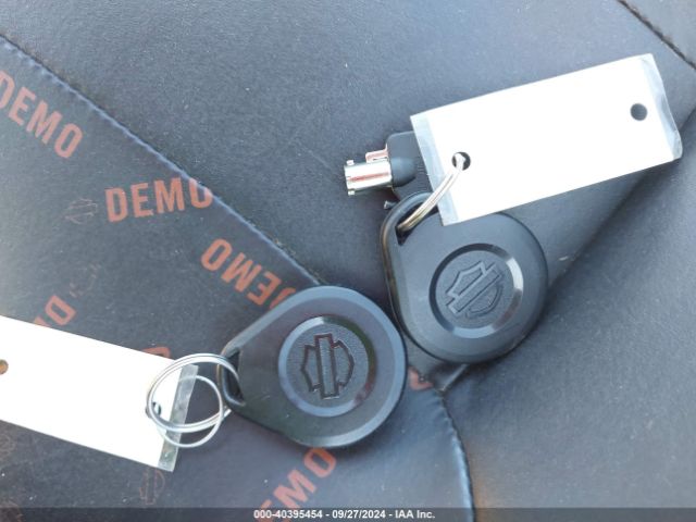 2013 HARLEY-DAVIDSON FLTRXSE 1HD1TC828DB956046 Photo 10