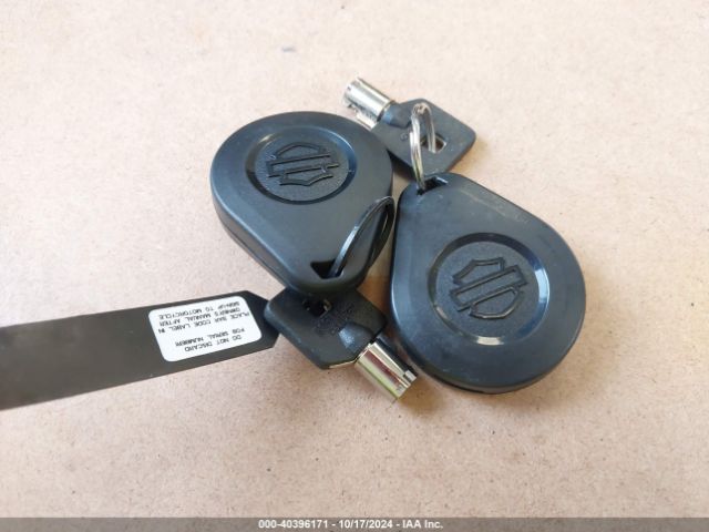 2023 HARLEY-DAVIDSON FLHXST 1HD1ABL26PB655111 Photo 10