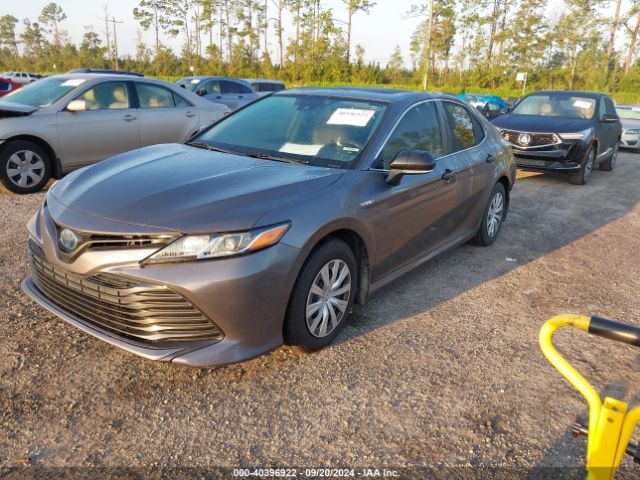 4T1B31HKXKU005029 Toyota Camry Hybrid Le