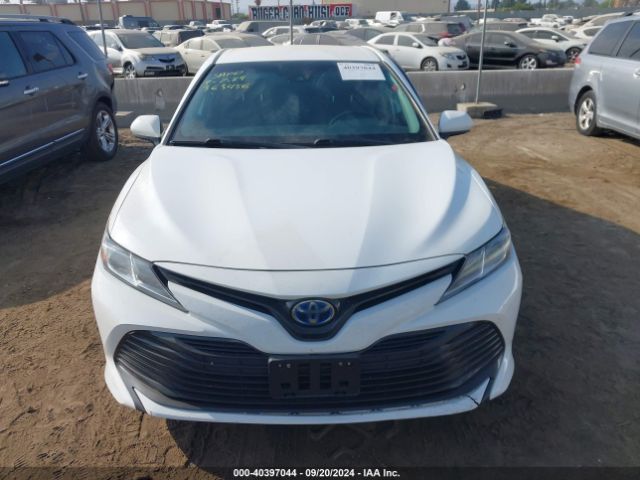 4T1C31AK8LU531322 Toyota Camry Le Hybrid