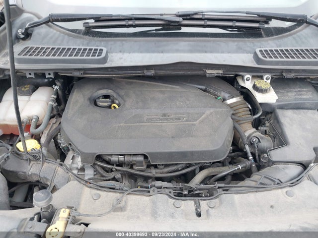 Ford ESCAPE SE 2014 1FMCU0GX1EUC53375 Image 10