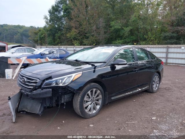 5NPE34AF4HH559718 Hyundai Sonata Sport