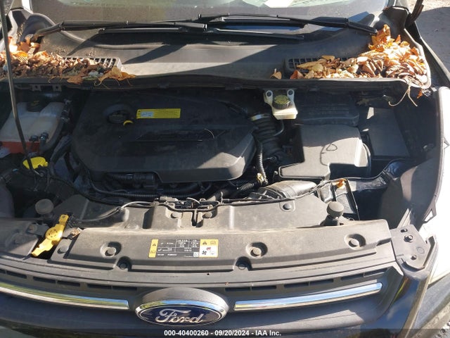 Ford ESCAPE SE 2014 1FMCU9GX1EUA88559 Image 10