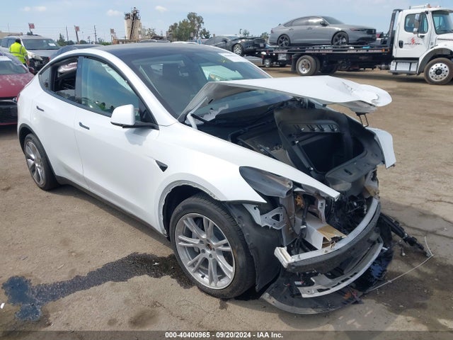 2021 TESLA MODEL Y 5YJYGDEE5MF305950 Photo 0