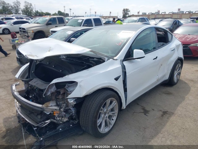 2021 TESLA MODEL Y 5YJYGDEE5MF305950 Photo 1