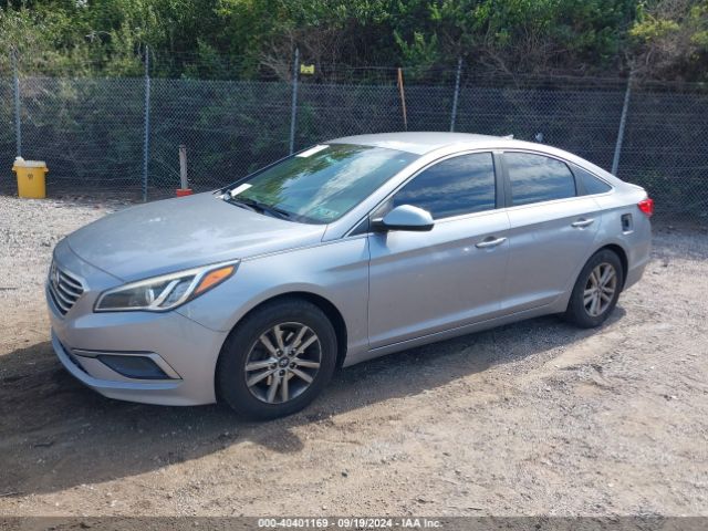 5NPE24AF1GH297254 Hyundai SONATA SE