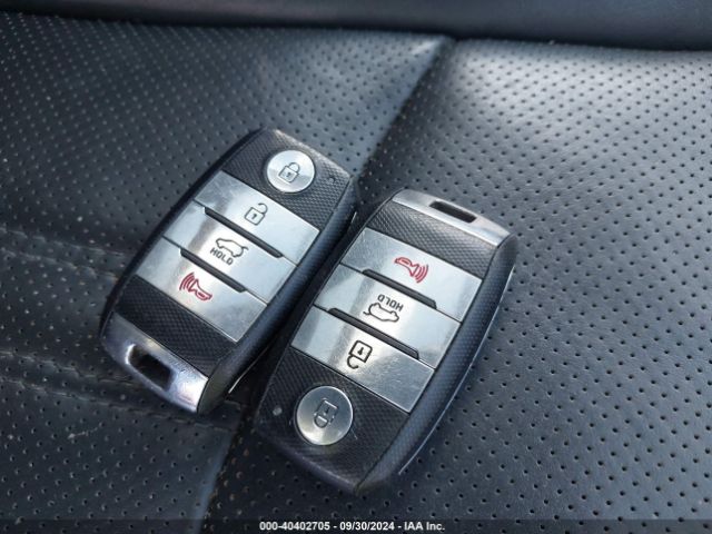 5XYKWDA74EG517264 KIA Sorento Limited V6